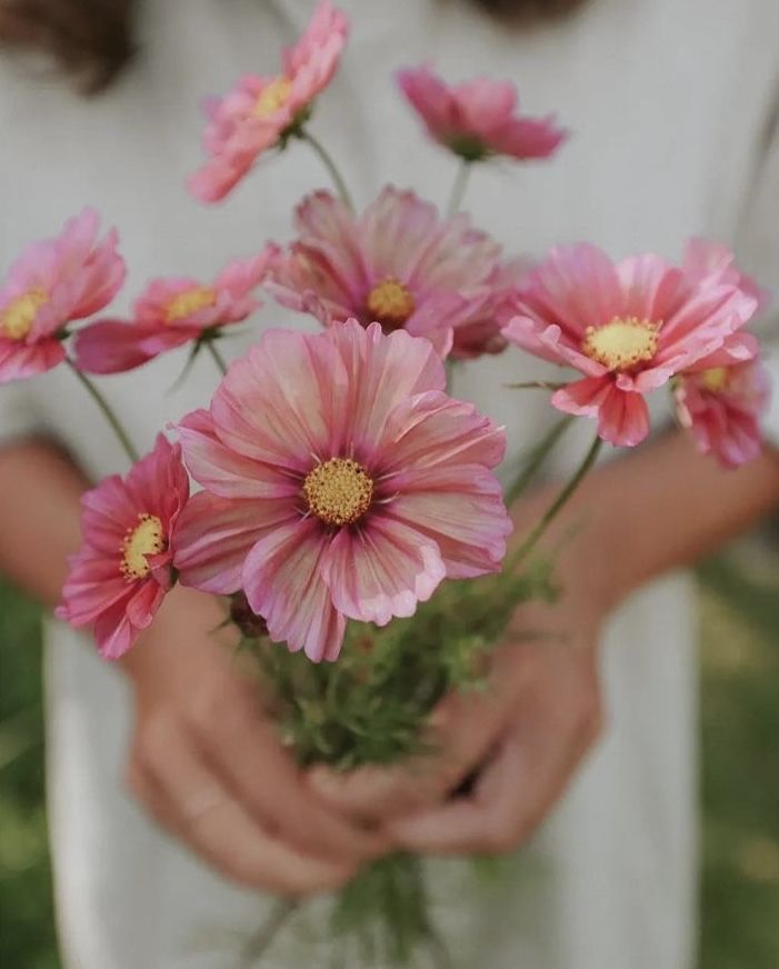 a woman holding pink flowers in her hands