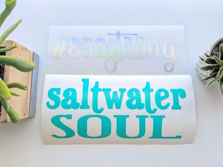 a sticker that says saltwater soul next to some succulents and a potted plant