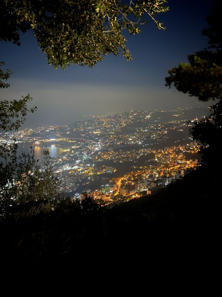 the city lights are lit up at night as seen from atop a hill in the distance