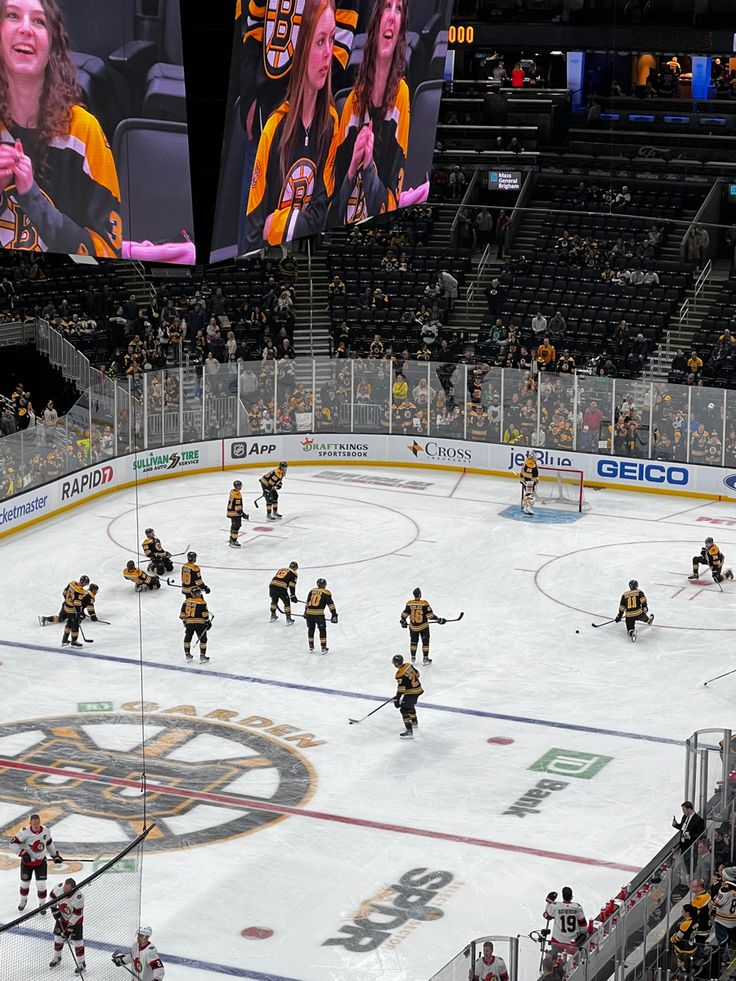 an ice hockey game is being played in a stadium with people watching from the stands