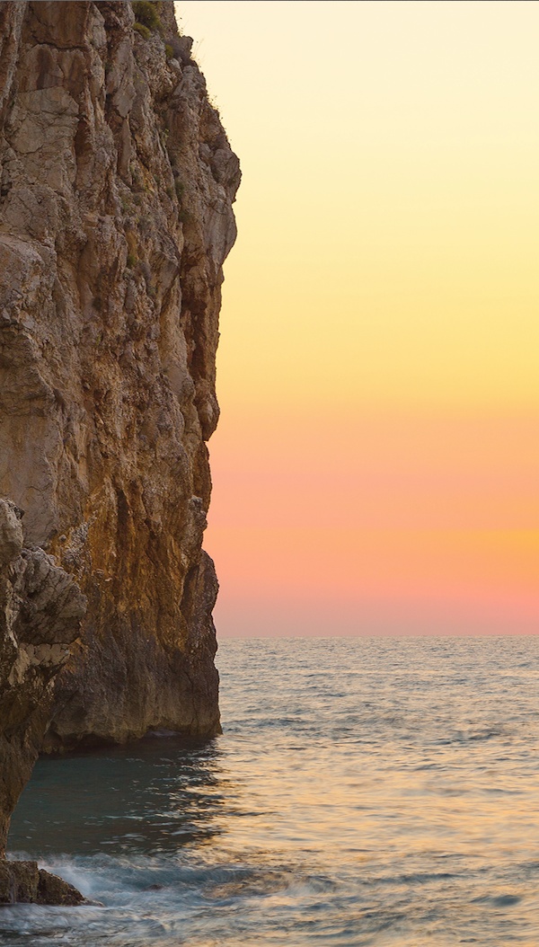 a lone bird sitting on the edge of a cliff overlooking the ocean at sunset or dawn