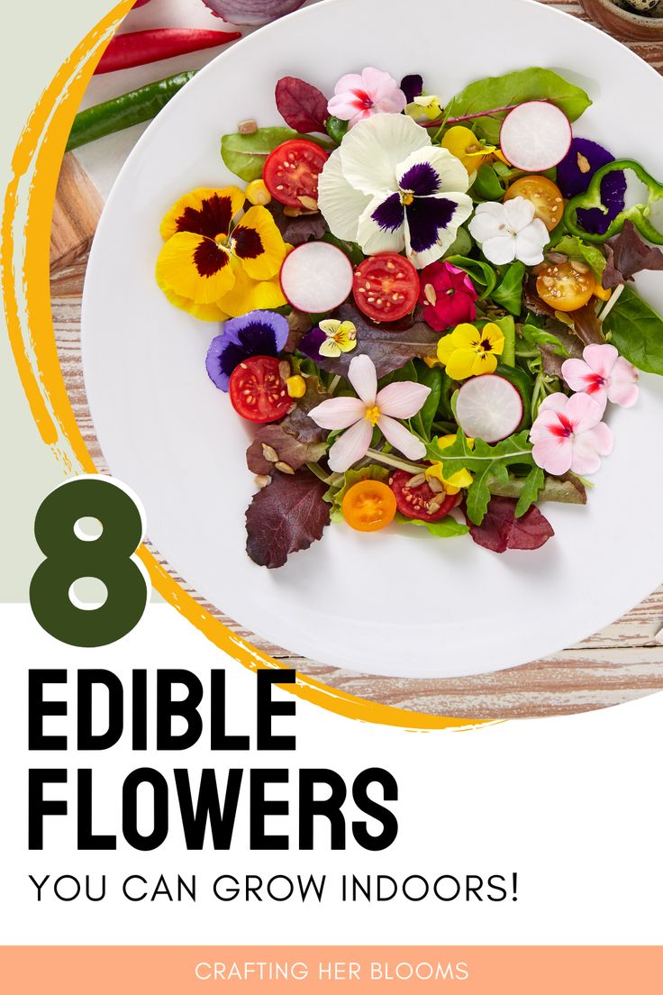 a white plate topped with lots of edible flowers