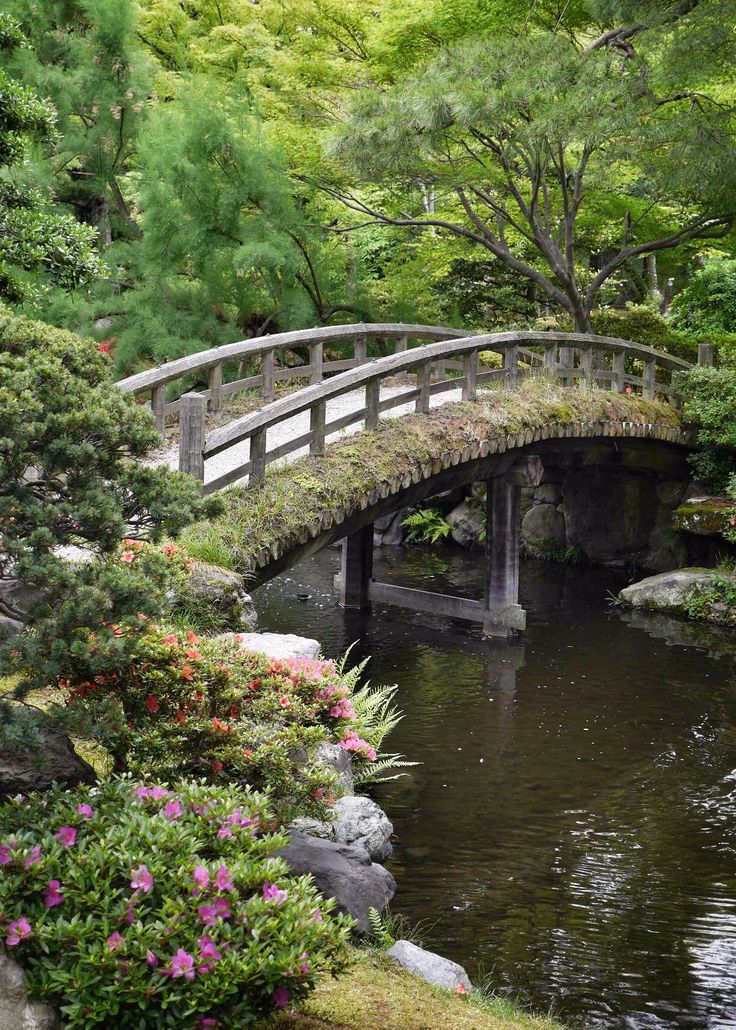 a bridge over a small river surrounded by greenery