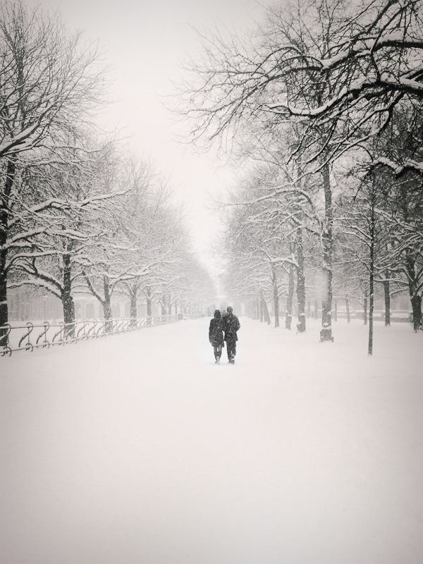 two people walking down a snow covered path in the middle of a park with lots of trees