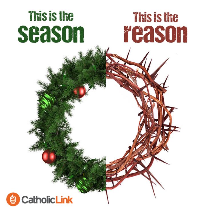 a christmas wreath with the words this is the reason on it, and an image of a