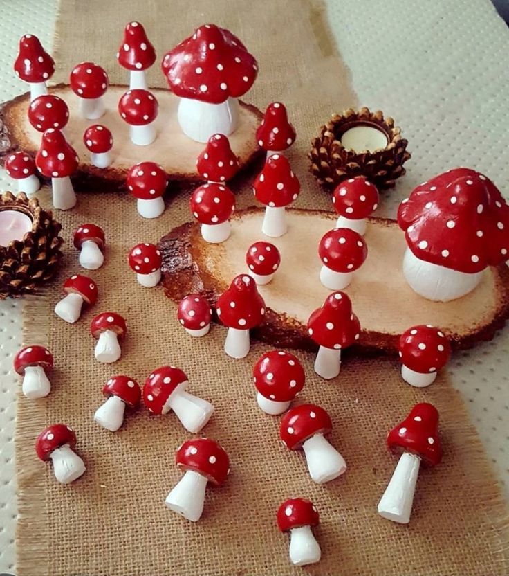 red and white mushrooms are scattered on a piece of wood