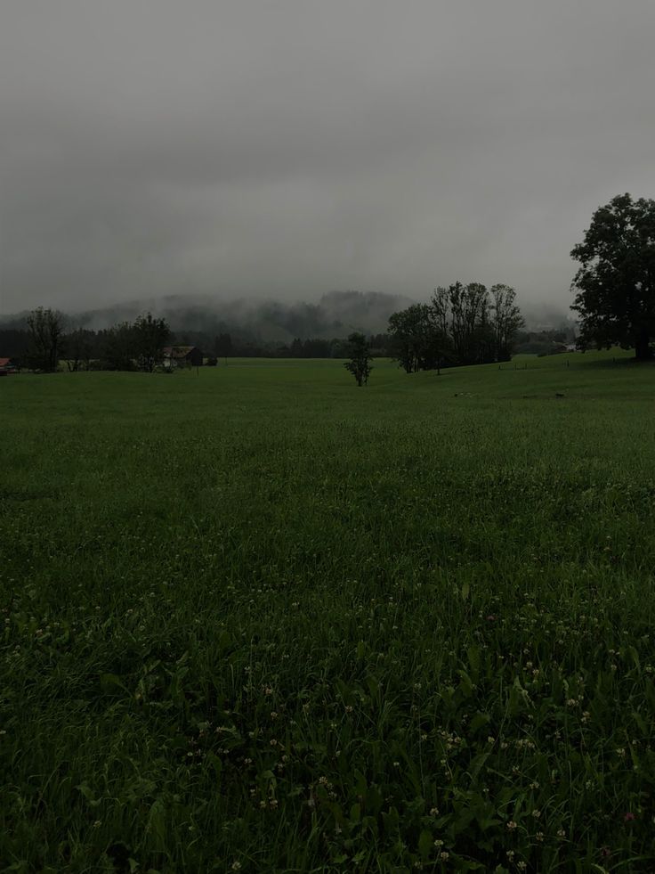 a field with some trees and clouds in the sky behind it on a cloudy day