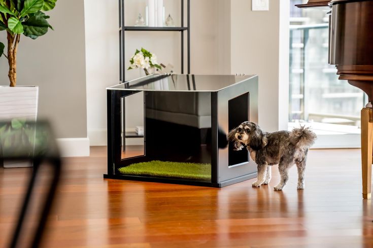 a small dog standing in front of a black and white pet house on top of a hard wood floor