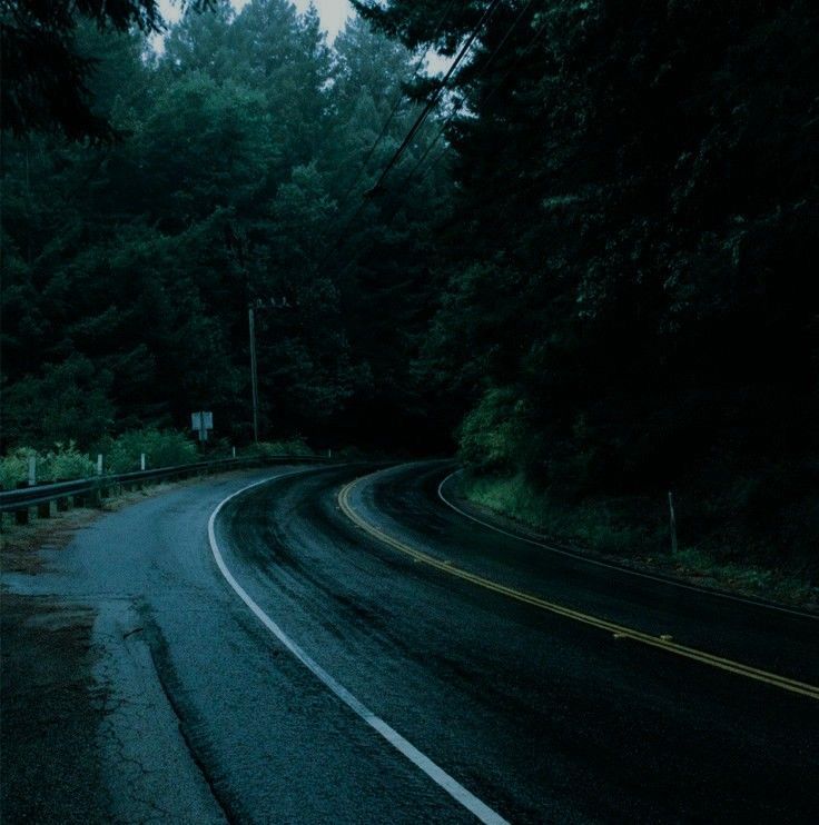 an empty road surrounded by trees at night