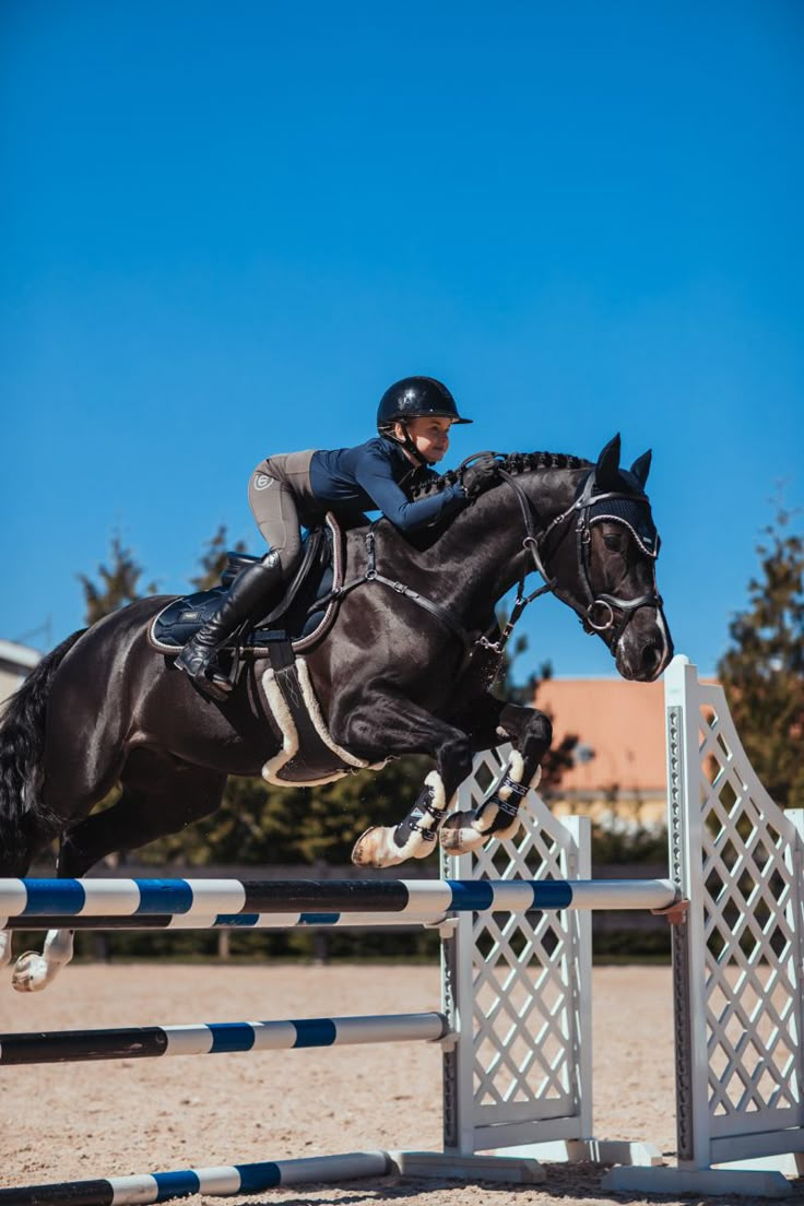 a person jumping a horse over an obstacle