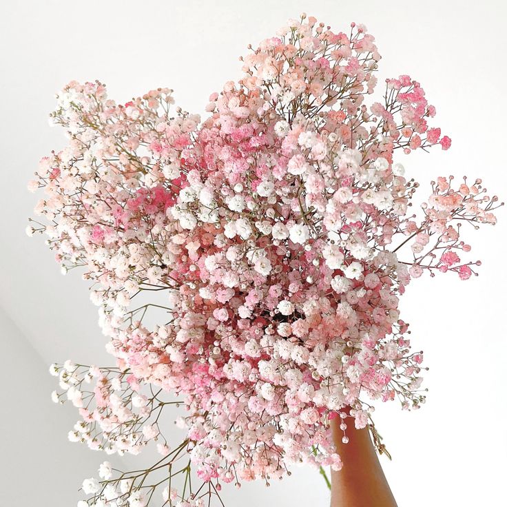 a person's hand holding a bouquet of pink and white baby's breath flowers