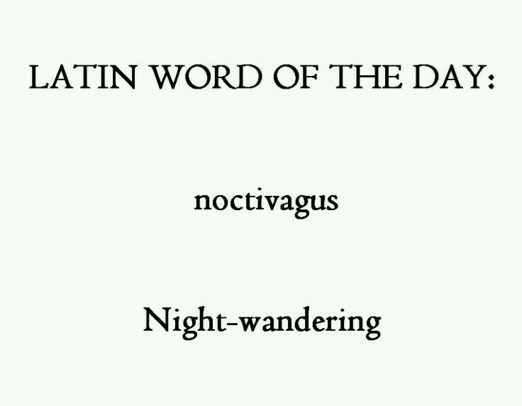 the words latin word of the day nottivvagus night - wandering are black and white