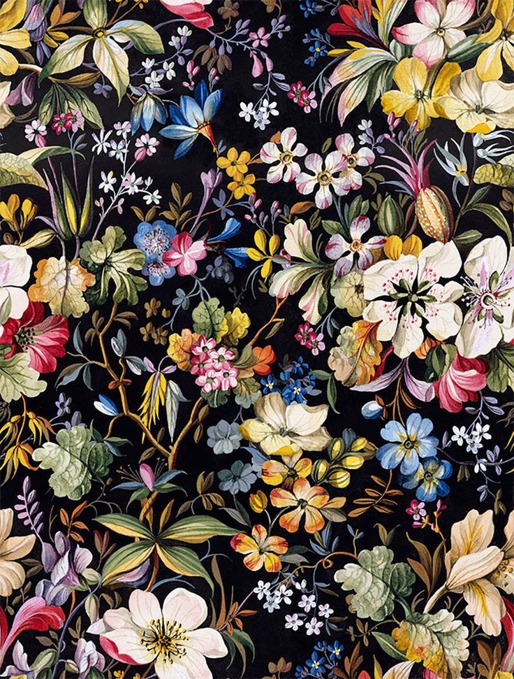 a black background with colorful flowers and leaves