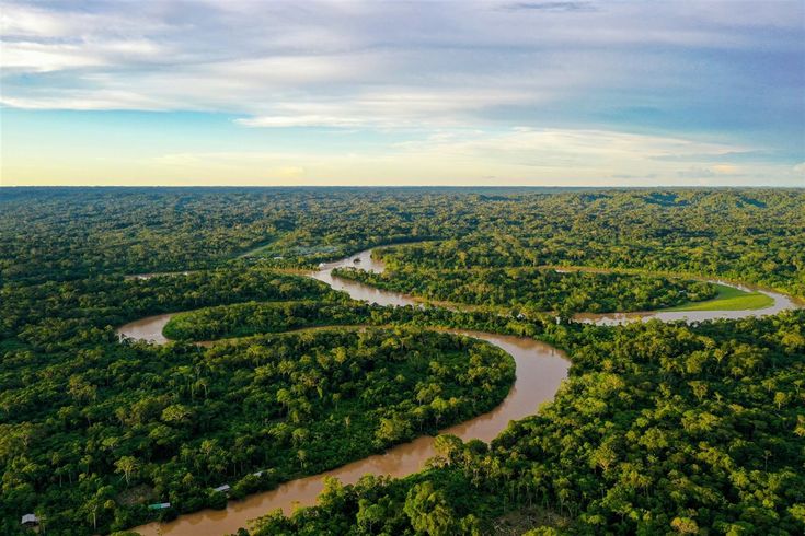 an aerial view of a river surrounded by trees