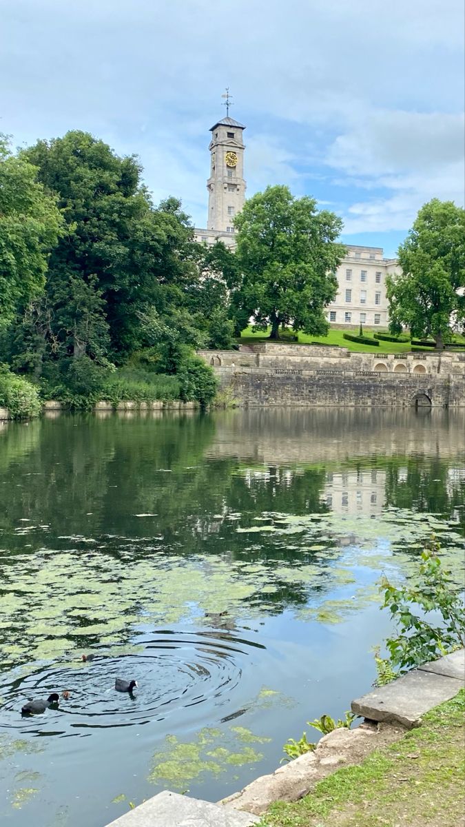 ducks swimming in the water near a building