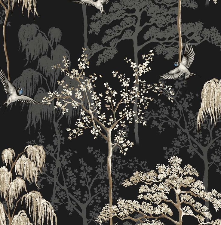 Sample Bird Garden Wallpaper in Black by NextWall Shadow Silhouette, Drops Patterns, Weeping Willow, Smooth Walls, Nature Inspired Design, Exotic Birds, Burke Decor, Bird Garden, Wallpaper Roll