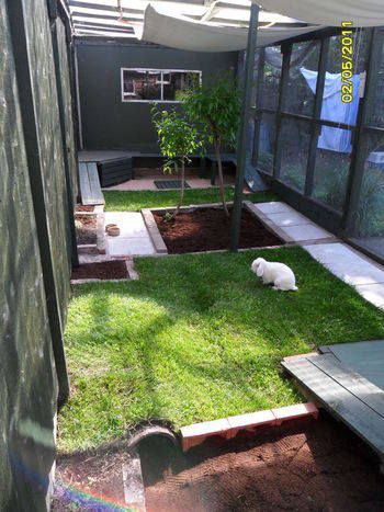 an outdoor area with grass and benches in the center, next to a back yard