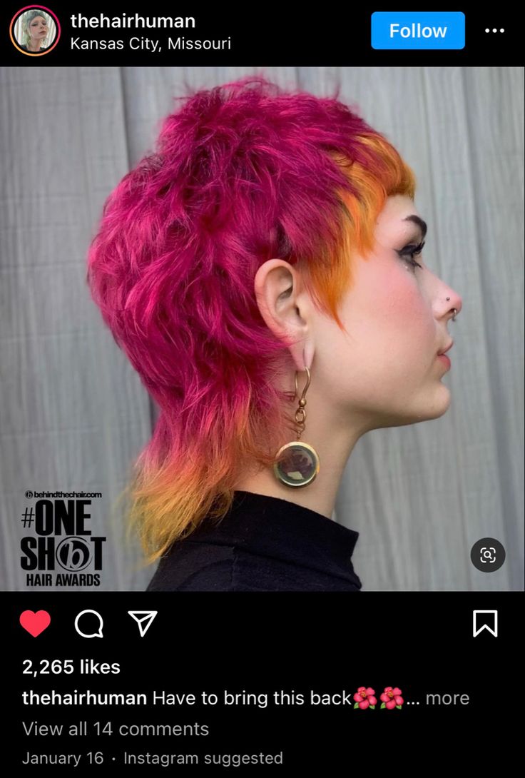 Punky Hair, Me And My Bf, Short Punk Hair, Mullet Hair, Color Block Hair, Vivid Hair Color, Creative Hair Color, Mullet Haircut, Creative Hair