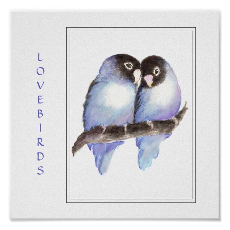 two birds sitting on top of a tree branch with the words lovebirds written below