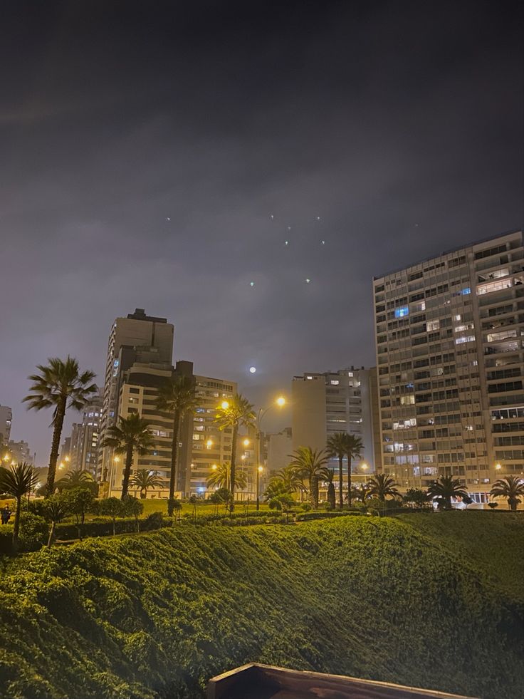 the city skyline is lit up at night, with palm trees and buildings in the background