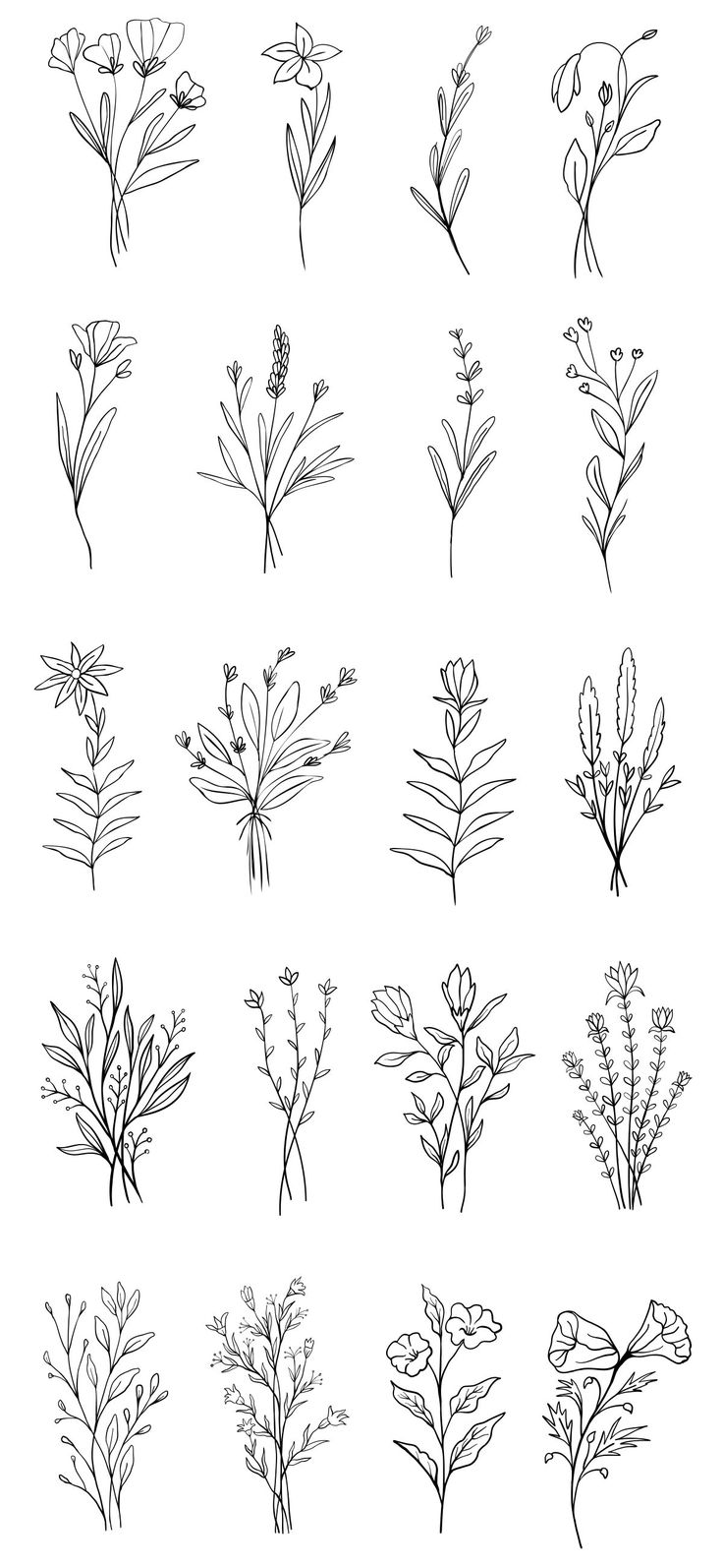 the different types of flowers are drawn in black and white