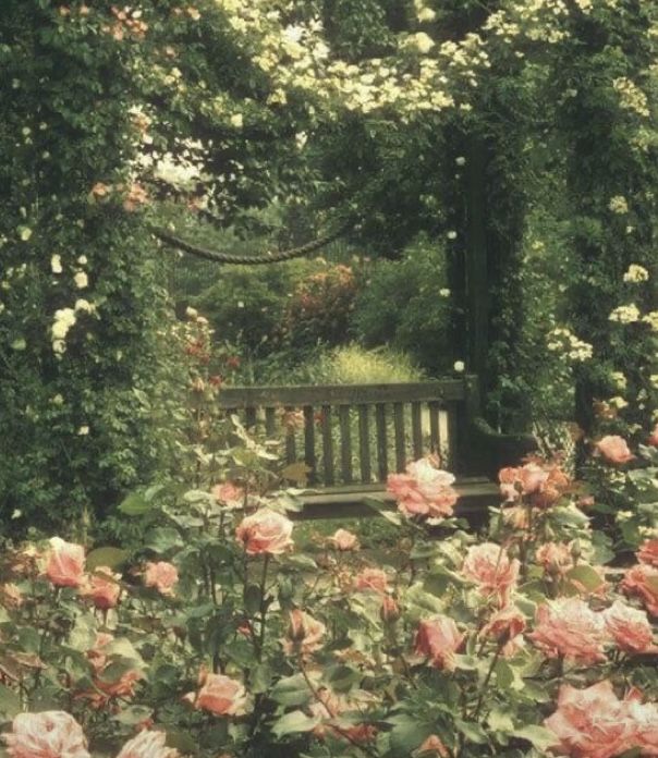 a park bench surrounded by flowers and greenery