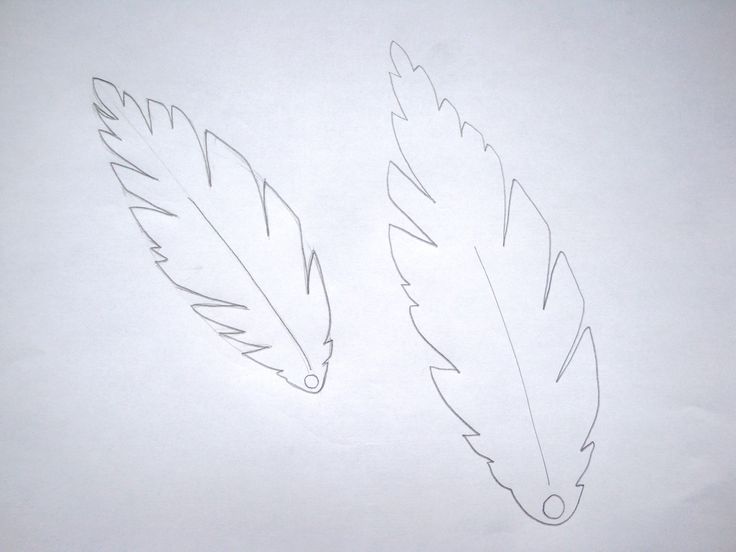 two feathers are drawn on a white paper