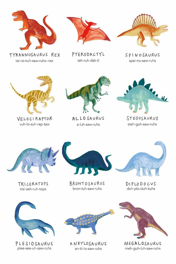 an image of different types of dinosaurs in the same color and size, with their names