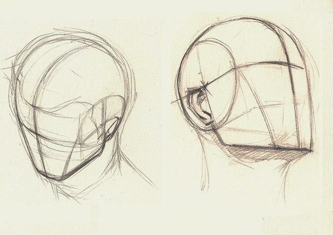 three different views of the head and shoulders