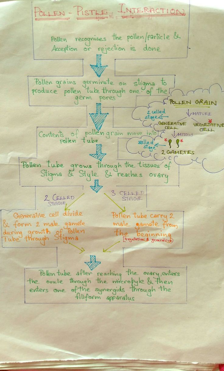 a white piece of paper with writing on it and arrows pointing to different areas in the diagram