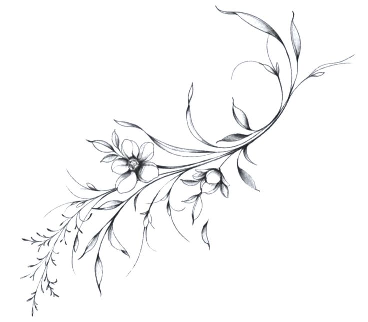 a drawing of flowers and leaves on a white background