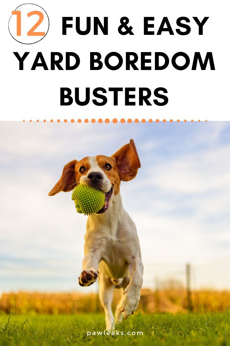 a dog running with a ball in its mouth and the words, 12 fun & easy yard boredom busters