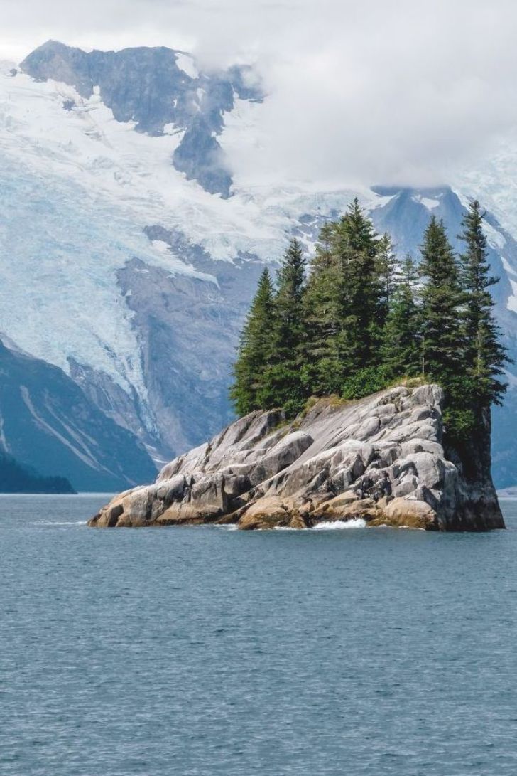 an island in the middle of water with trees on it and snow covered mountains in the background