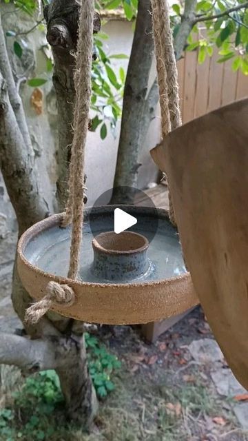 a bird feeder hanging from a tree in the yard with a bowl on it's side