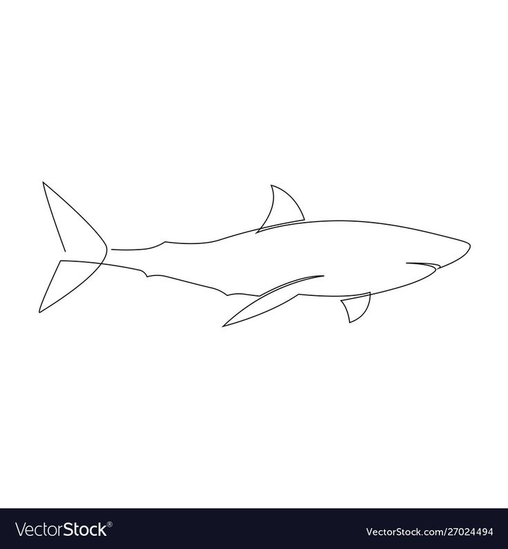 the outline of a shark on a white background