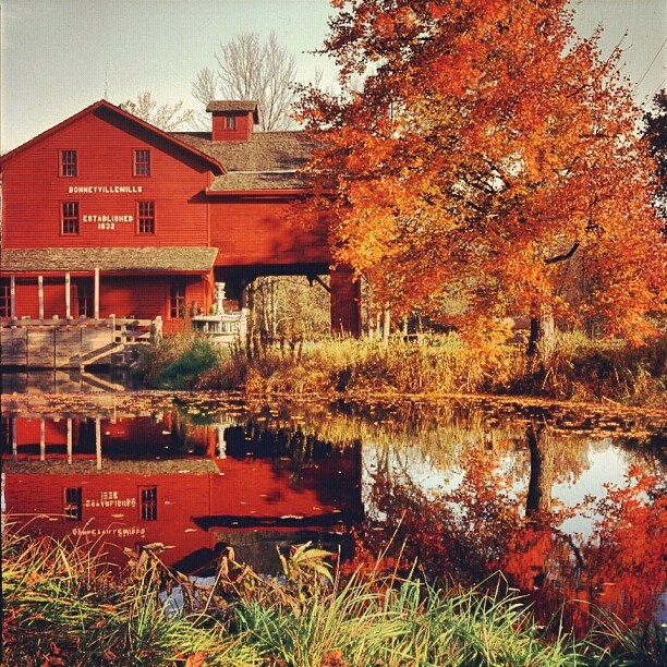 an old red barn sits next to a pond with autumn leaves on it and the house is reflected in the water