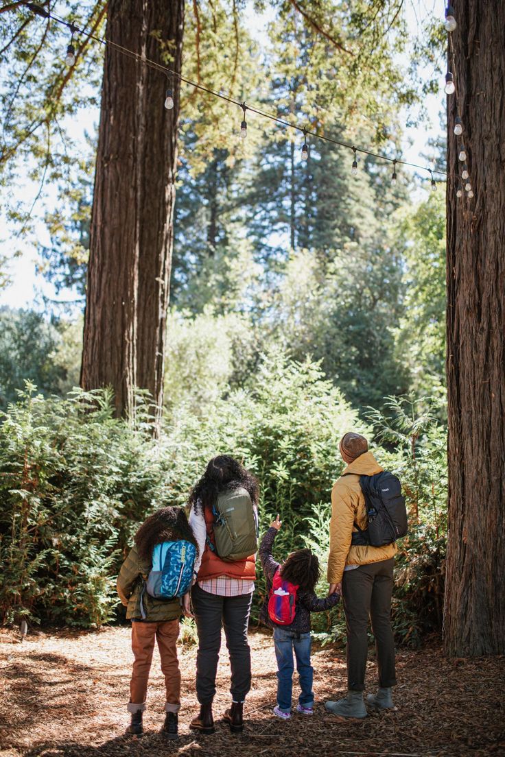 three adults and two children standing in the woods with their backs to each other as they look up at trees