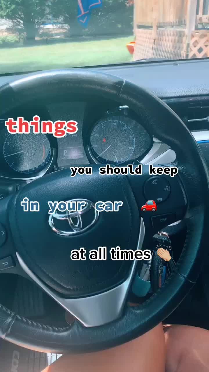 the inside of a car with an image of a steering wheel and text that says things you should keep in your car at all times