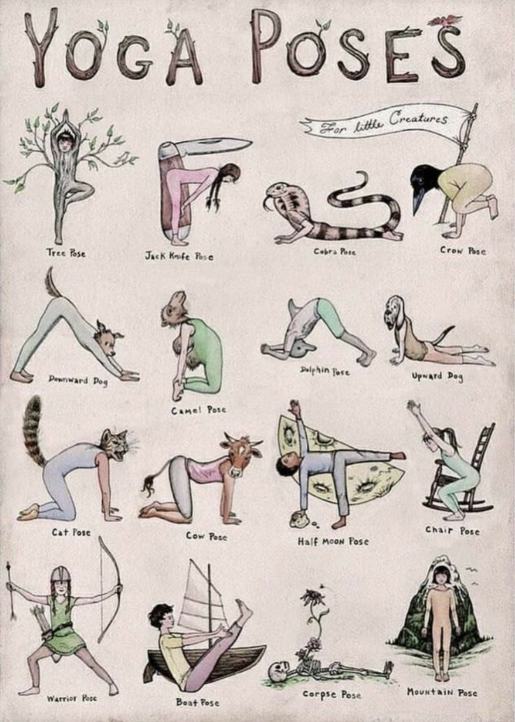 an old poster with yoga poses and their names on it's front cover,