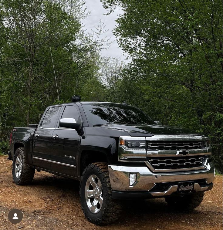 a black truck is parked in the woods