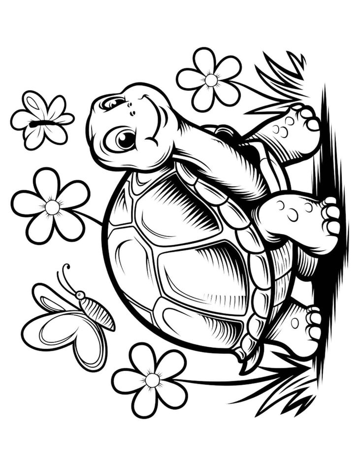 18 Turtle Coloring Pages to Spark Creativity (Free PDF Printables) Coloring Pages Turtle, Turtle Coloring Pages Free Printable, Sea Turtle Coloring Pages, Free Printable Preschool Worksheets, Music Coloring Sheets, Sea Turtle Drawing, Turtle Coloring, Turtle Images, Dolphin Coloring Pages