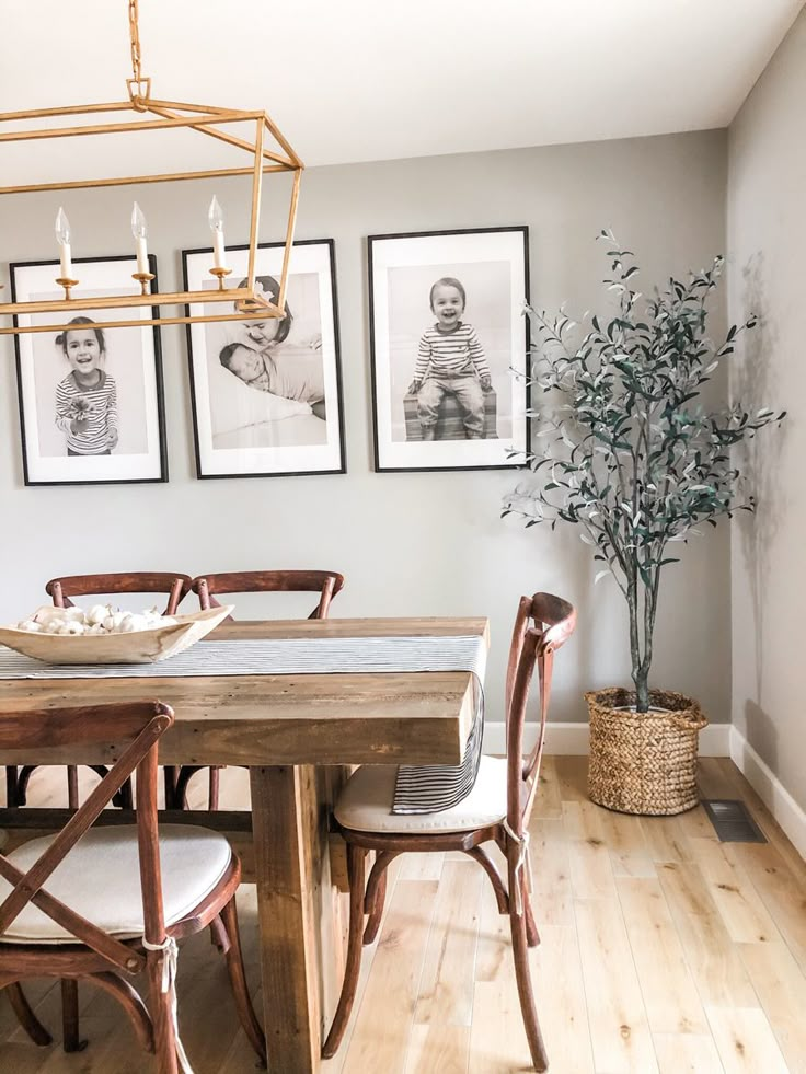 a dining room table with chairs and pictures on the wall above it, in front of a potted plant