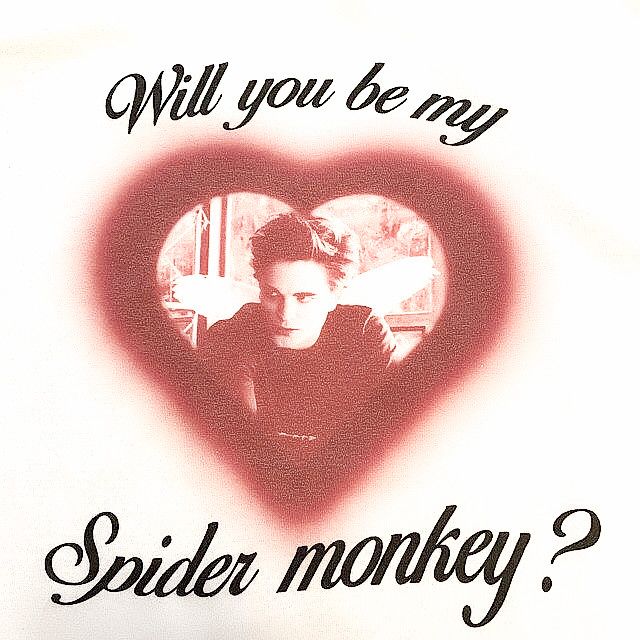 a heart shaped photo with the words will you be my spider monkey? on it