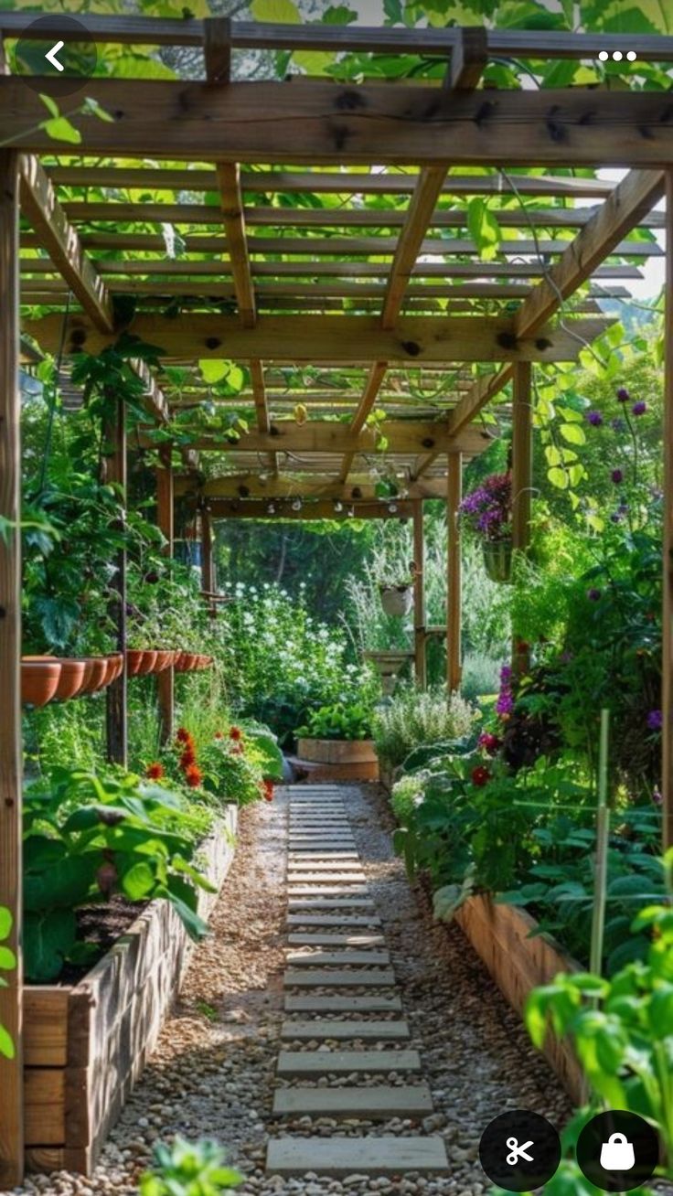 an outdoor garden with lots of plants and flowers on the ground, along with steps leading up to a pergolated area