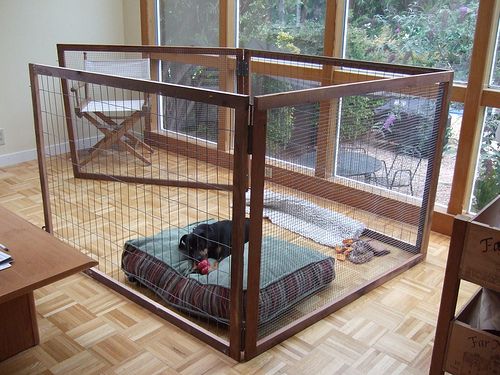 a dog laying in a cage on top of a floor next to a table and chair