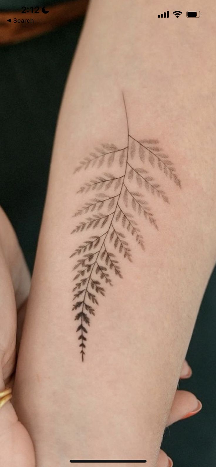 a woman's arm with a tattoo on it that has a fern leaf on it