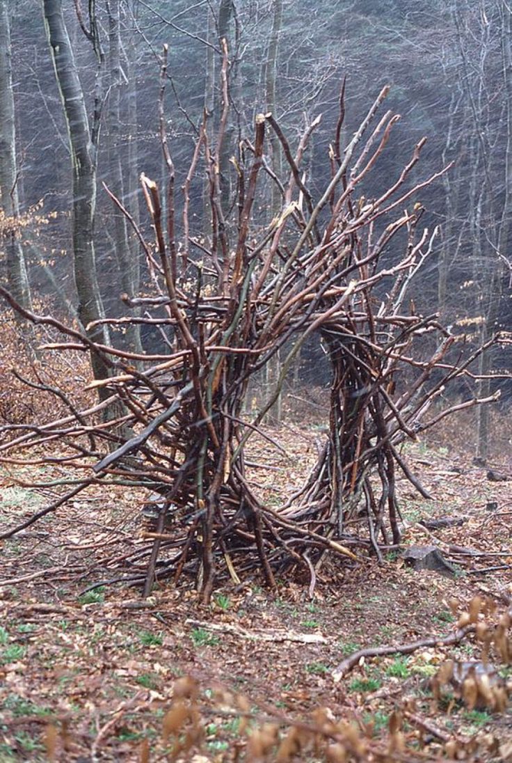 a sculpture made out of branches in the woods