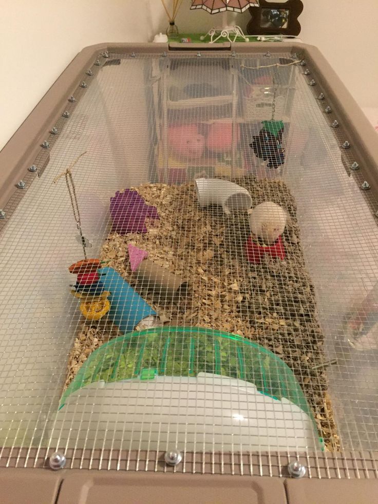 a caged in area with toys and other items