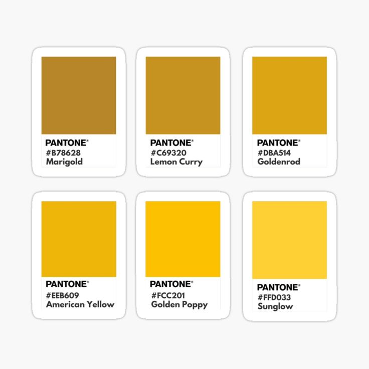 six pantone swatches with the same color as each one, including yellow and brown