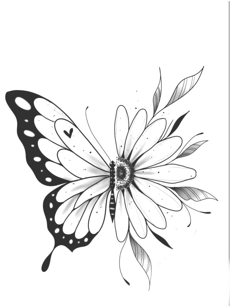 a black and white drawing of a butterfly